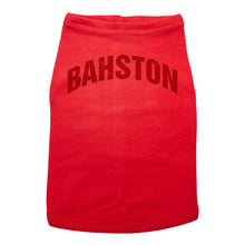 Load image into Gallery viewer, Bahston - Dog T-Shirt - Baffle